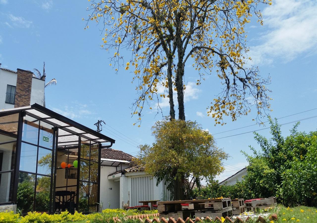 Hostal Morobik Popayán Zewnętrze zdjęcie